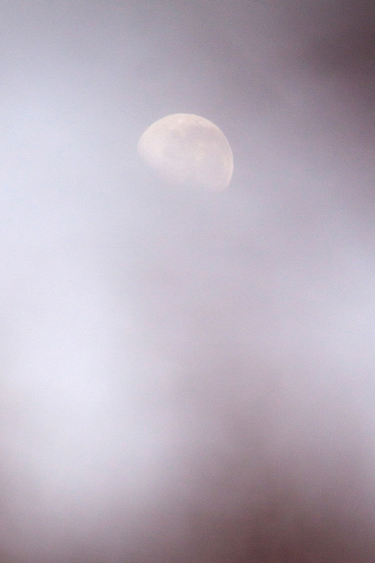photography_moon_november_44